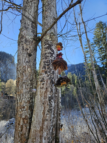 Spaziergang Adventsweg Thusis