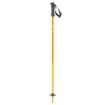 Scott Pole Element Jr - neon orange/095