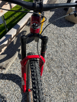 Rocky Mountain Instinct Carbon Frameset (29) gold/red,M Custom Bike