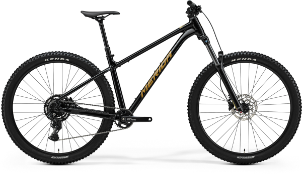 Merida Big.trail 300